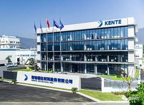 肯特催化戰略失衡 重銷售管理輕研發，技術開發人員薪酬雙標引關注